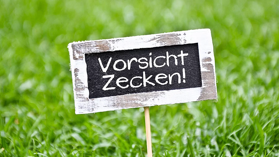 Schild mit der Aufschrift: Vorsicht Zecken. Im Hintergrund eine Wiese