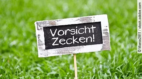 Schild mit der Aufschrift: Vorsicht Zecken. Im Hintergrund eine Wiese