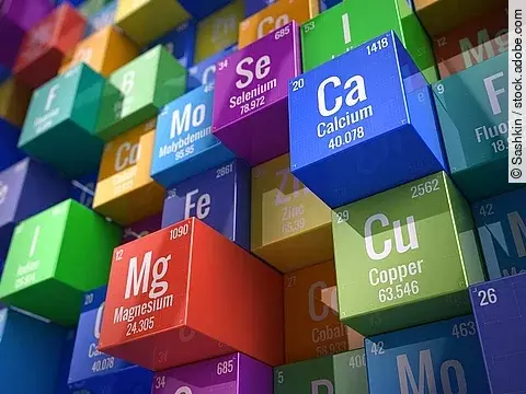 Mineralien, Referenzwert, Ballaststoffe, Magnesium, Pantothensäure