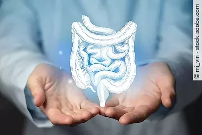 Grafisches Konzept des Darmtraktes in den Händen eines Arztes