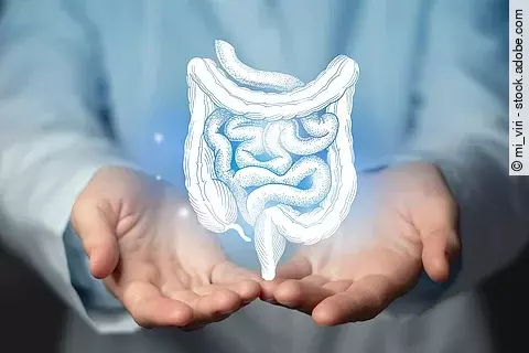 Grafisches Konzept des Darmtraktes in den Händen eines Arztes