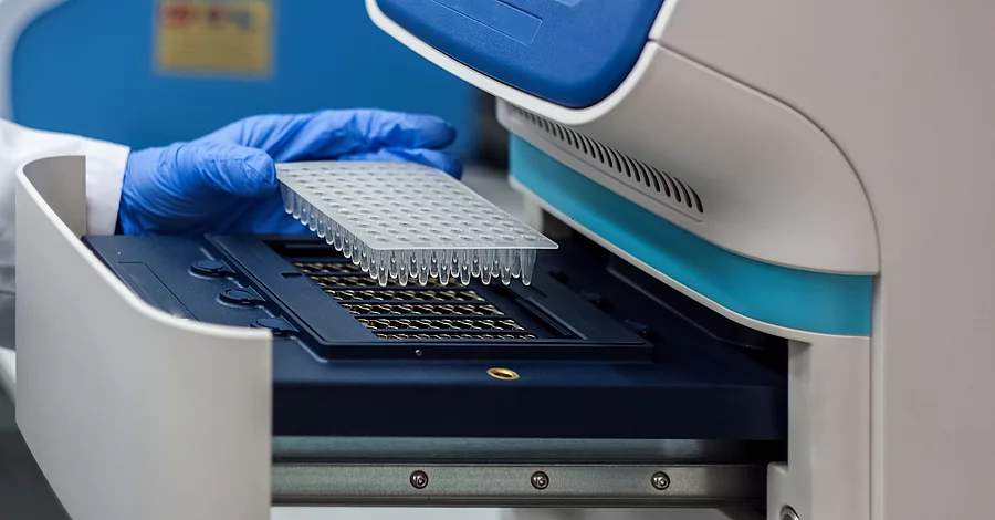 Eine Hand mit blauem Handschuh setzt Proben in eine PCR-Maschine ein.
