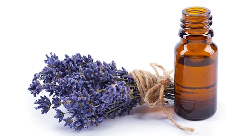 Bund mit Lavendelblüten, daneben ein Braunfläschchen mit ätherischem Öl auf weißem Hintergrund 