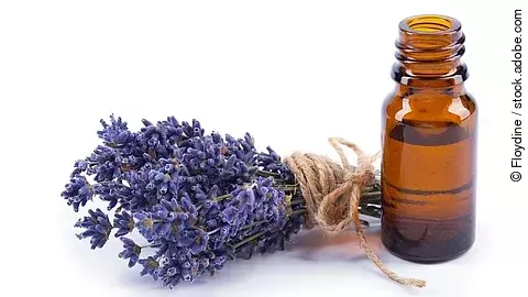 Bund mit Lavendelblüten, daneben ein Braunfläschchen mit ätherischem Öl auf weißem Hintergrund 