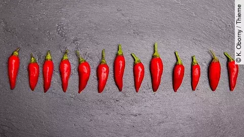 rote Chilischoten auf grauem Hintergrund