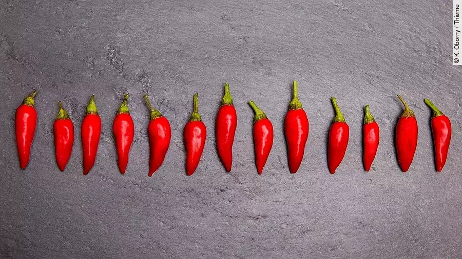 rote Chilischoten auf grauem Hintergrund