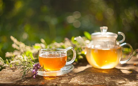 Teeglas mit Tee, im Hintergrund eine Glaskanne mit Tee, Heilpflanzen verschwommen im Hintergrund