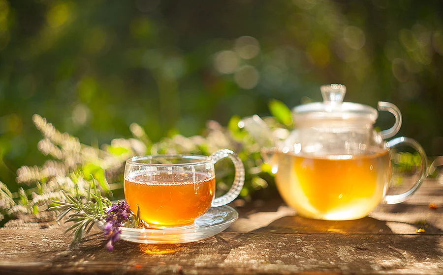 Teeglas mit Tee, im Hintergrund eine Glaskanne mit Tee, Heilpflanzen verschwommen im Hintergrund