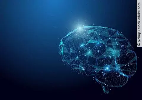 Illustration eines Gehirns