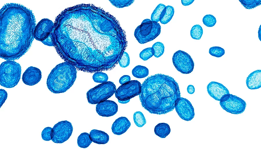 Illustration: MPox-Viren blau eingefärbt auf weißem Hintergrund