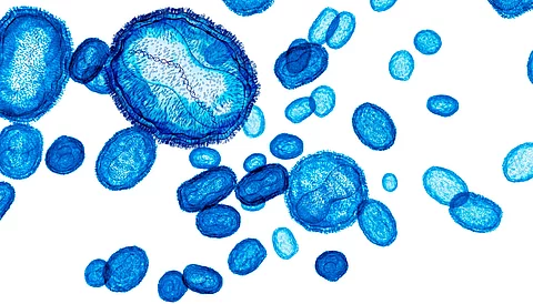 Illustration: MPox-Viren blau eingefärbt auf weißem Hintergrund