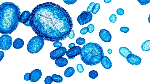 Pox, Mpox (monkey pox) or poxviridae virus flow, one virus showing the DNA inside. 3d visualization on white background Illustration: MPox-Viren blau eingefärbt auf weißem Hintergrund