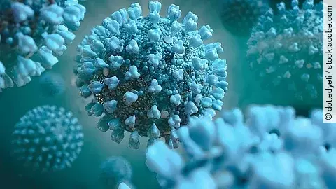 Illustration mehrerer Coronaviren.