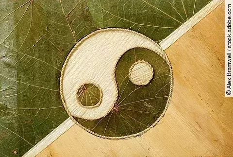 Ying-Yang Symbol aus getrockneten Blättern.