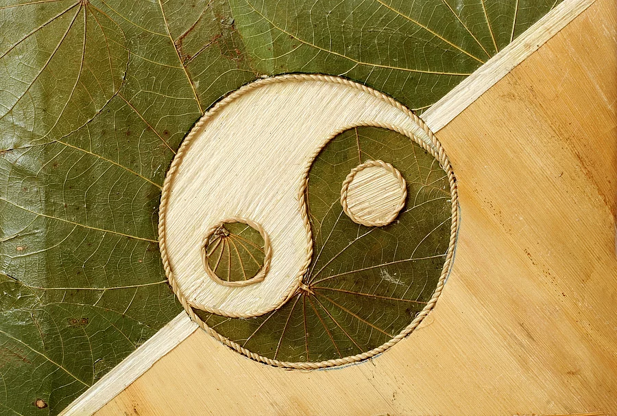 Ying-Yang Symbol aus getrockneten Blättern.