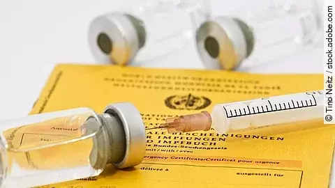 Auf einem Impfpass liegen mehrere Impffläschchen und eine Injektionskanüle.