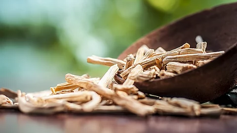 Ayurveda, Phytotherapie