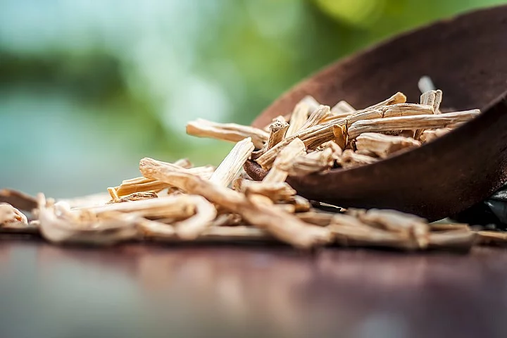 Ayurveda, Phytotherapie
