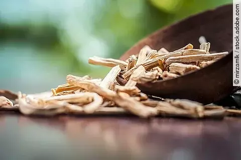 Ayurveda, Phytotherapie