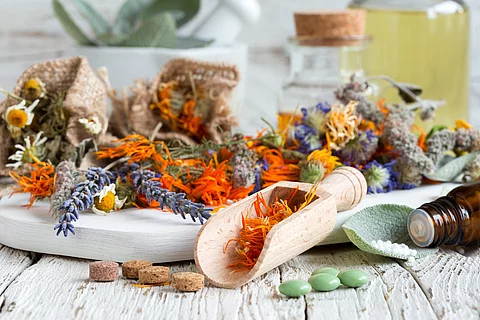 Blüten verschiedener Heilpflanzen und Medizin auf einem Tisch.