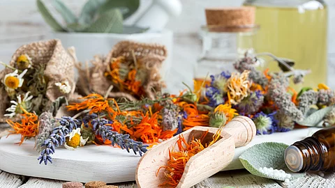 Blüten verschiedener Heilpflanzen und Medizin auf einem Tisch.