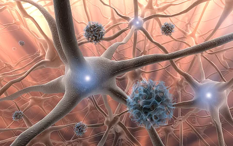Nervenzellen, Neuronen (Illustration)