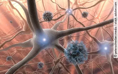 Nervenzellen, Neuronen (Illustration)