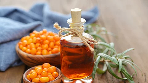 Sanddornfrüchte, Fläschchen mit ätherischem Öl und Sanddornzweige