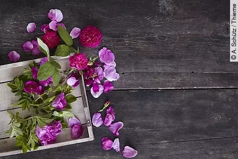 rosen und rosenblätter auf einem holztisch