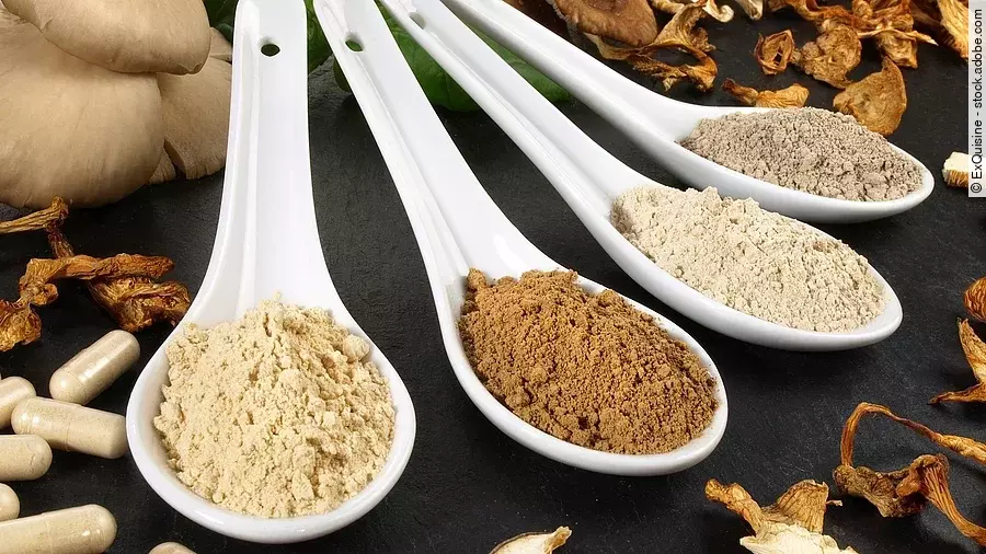 getrocknete Heilpilze, 4 Löffel mit Pilzpulver, Kapseln