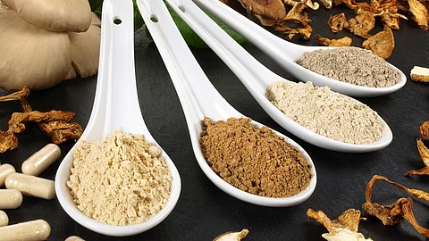 getrocknete Heilpilze, 4 Löffel mit Pilzpulver, Kapseln