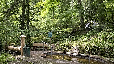 Kneipp, Kneippbecken, Wald, Wassertreten