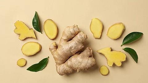 Ingwer-Wurzel als ganzes sowie mehrere von der Wurzel angeschnittene Scheiben, 