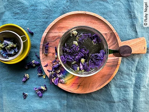 Malvenblüten in einer Teetasse