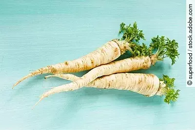 3 Pastinaken auf türkisem Untergrund