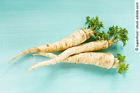 3 Pastinaken auf türkisem Untergrund