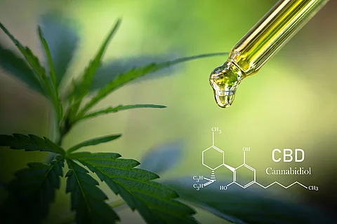 Cannabisblatt, Pipette mit CBD-Öl, chemische Formel von CBD