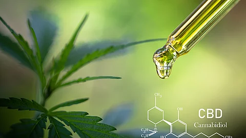 Cannabisblatt, Pipette mit CBD-Öl, chemische Formel von CBD