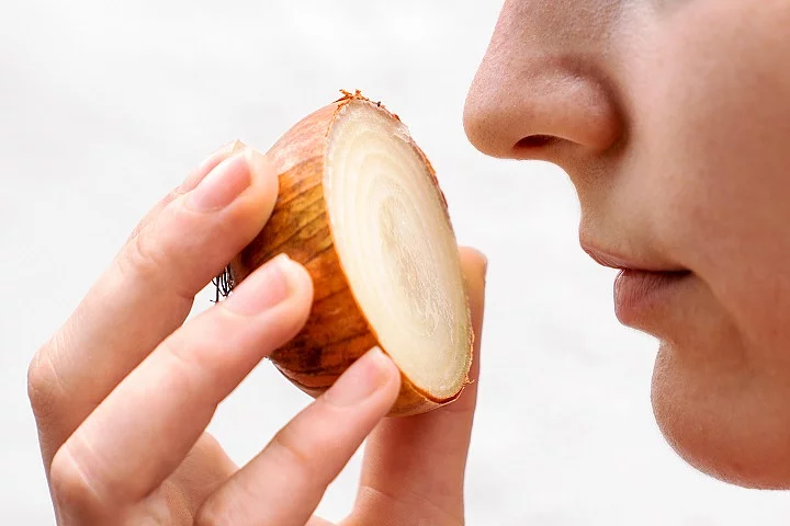 Riechen, Zwiebel, Geruch, Sinne, Geruchssinn