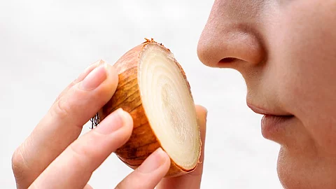 Riechen, Zwiebel, Geruch, Sinne, Geruchssinn