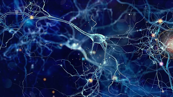 Illustrationen von Neuronen-Verbindungen im Gehirn.