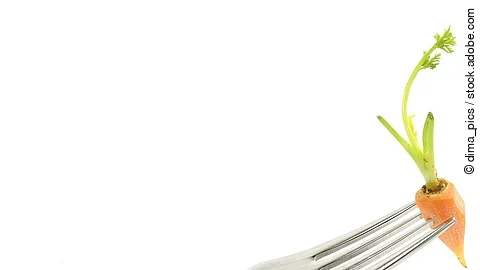 Gabel, Möhre, Intervallfasten