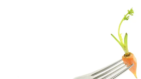 Gabel, Möhre, Intervallfasten