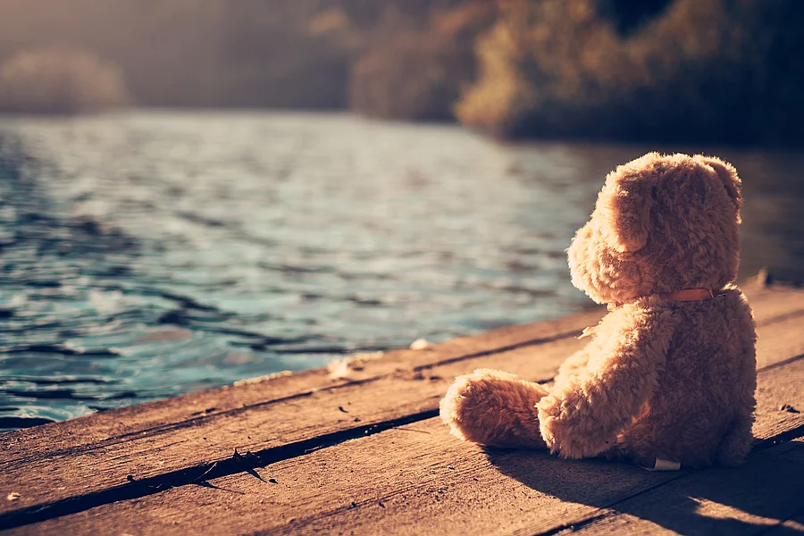 Teddy bear Teddy sitzt am Ufer eines Sees