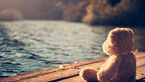 Teddy bear Teddy sitzt am Ufer eines Sees