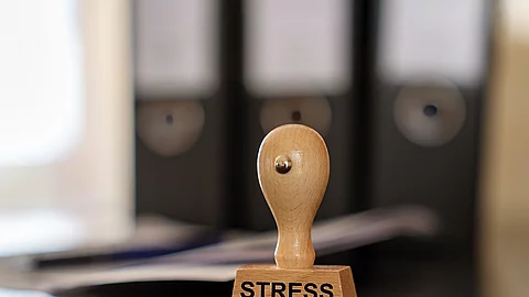 Stress, chronischer Stress, Lebenszeit