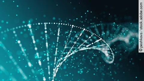 Ernährung, Übergewicht, Adipositas, genbasierte Ernährung