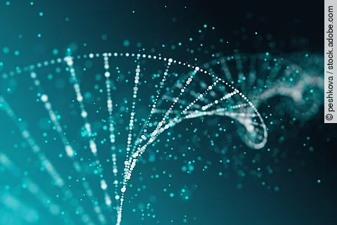 Ernährung, Übergewicht, Adipositas, genbasierte Ernährung