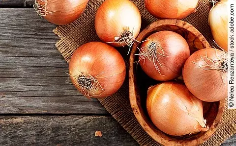 Küchenzwiebeln