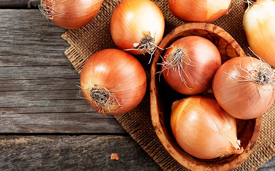 Küchenzwiebeln